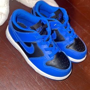 Hyper Cobalt Nike Dunks TD